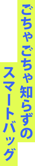 ごちゃごちゃ知らずのスマートバッグ