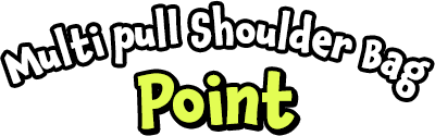 マルチプルショルダーバッグーポイント