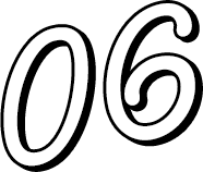06
